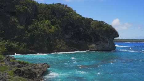 A-tropical-seaside-cliff-full-of-vegetation-with-waves-crashing-against-it-during-the-daylight-hours