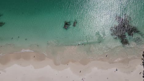 Drone-footage-of-people-swimming-and-cooling-off-at-Mindarie-Beach-showing-off-the-clear-ocean-water-and-white-sands-of-Perth-Western-Australia