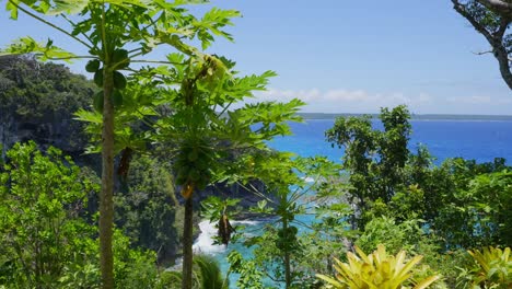 A-papaya-tree-located-in-proximity-to-the-breathtaking-and-vast-ocean-during-the-daytime
