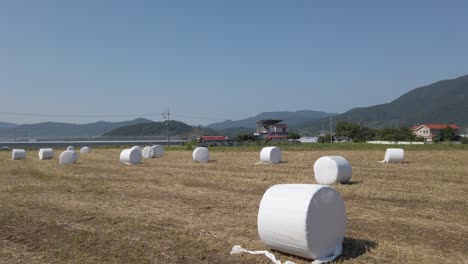 Wide-angle-pan-across-small-field-of-round-hay-bales,-Suncheon,-South-Korea