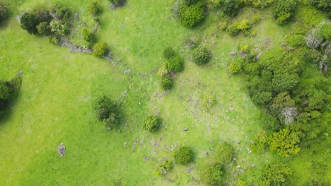 Aerial-view-looking-down-on-a-rugged-Australian-hinterland-bushland-farming-property