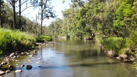 Einzigartige-Drohnenansicht-Eines-Fließenden-Baches,-Der-Sich-Durch-Einen-Australischen-Outback-Eukalyptuswald-Und-Ein-Billabong-Wasserloch-Schlängelt