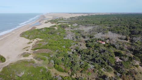 Panoramic-view-of-the-reserve-of-Cariló,-a-green-forest-by-the-Atlantic-Ocean,-Argentina