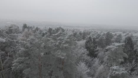 Invierno-En-Polonia,-Szczecin