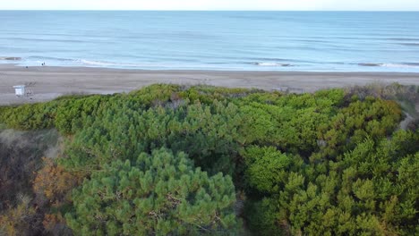 Transition-from-a-green-forest-to-a-beach-and-the-Atlantic-Ocean-with-a-blue-sky-in-the-background,-Cariló-Argentina