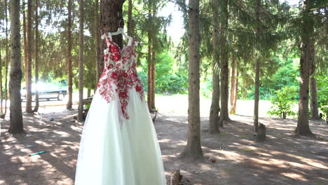 dress-quinceanera-mexican-red-and-white-on-tree-establishing-shot