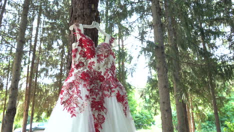 Quinceanera-Mexikanisches-Rotes-Und-Weißes-Kleid,-Das-Draußen-Am-Baum-Hängt