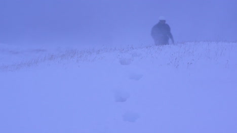 Lost-woman-is-walking-in-snowy-windy-blizzard,-tilt-up