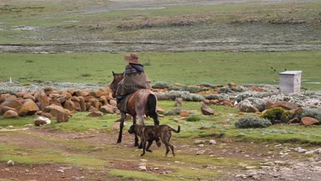 Lesotho-farmer-rides-horse,-leading-his-dog-on-rugged-green-meadow