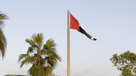 Die-Flagge-Der-Vereinigten-Arabischen-Emirate-Flattert-Im-Wind-In-Der-Nähe-Von-Palmen