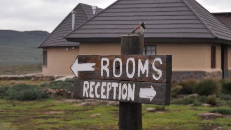 Bird-on-wooden-sign-pointing-the-way-to-rooms-and-reception-of-lodge