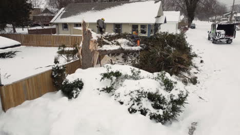 Two-rescuers-are-clearing-a,-backyard,-fallen-tree-covered-in-snow-during-the-North-American-winter-storm-Elliot