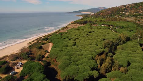 Aerial-view-of-a-dense-forest-along-the-Tarifa-coast-in-Spain