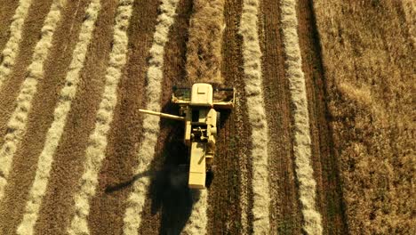 Máquinas-Agrícolas-Que-Trabajan-En-Tierras-De-Cultivo-Durante-La-Cosecha