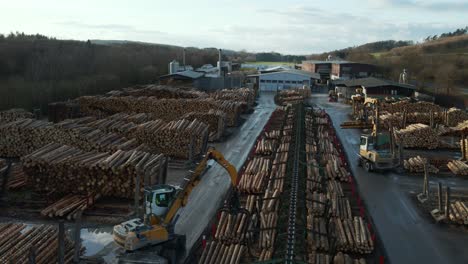 Heavy-Machinery-at-Work:-Log-Loader-are-Sorting-Logs-into-different-stacks-which-coming-out-of-the-conveyor-belt-at-a-German-Sawmill