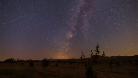 Night-to-day-morning-time-lapse-of-the-Dark-sky-with-full-of-stars-in-a-flat-garden-for-walnut-apple-berry-pistachios-tree-and-the-milky-way-shine-and-move-to-set-over-the-horizon-agriculture-tourism