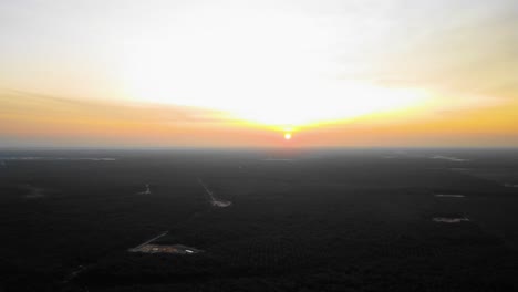 Cinematic-drone-footage-of-Oil-Palm-Plantation-in-Riau,-Indonesia-as-the-country-is-the-world's-biggest-producer-and-consumer-of-the-commodity,-providing-about-half-of-the-world's-supply