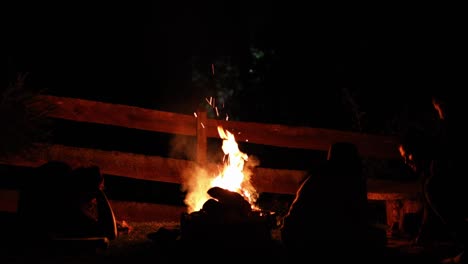 People-With-Bonfire-Camping-On-A-Cold-Winter-Countryside-Yard