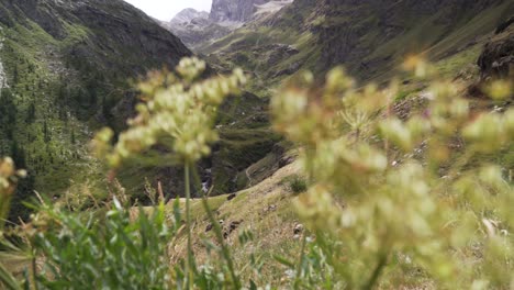 Malerischer-Blick-Auf-Einen-Hohen-Berggipfel-Inmitten-Der-Wunderschönen-Alpen