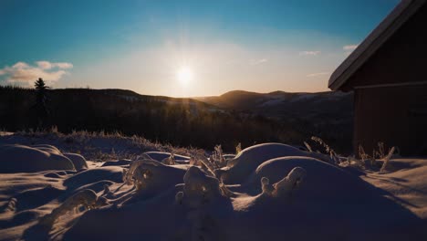Gefrorene,-Mit-Schnee-Bedeckte-Pflanzen-Im-Vordergrund-Und-Berge-Mit-Sonnenuntergang-Im-Hintergrund