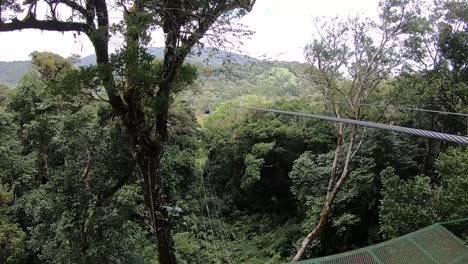 Dosel-Extremo-En-El-Bosque-Nuboso-De-La-Región-De-Monte-Verde-En-Costa-Rica