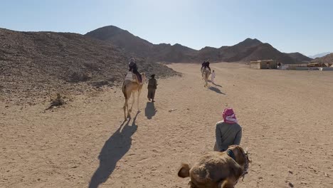 Hurgada,-Egypt-29-December-2022:-the-Camels-in-Sahara-Desert,-Egypt,-traditional-Dressed-Bedouins-Riding-Tourists-on-Camels-Through-Sandy-Desert