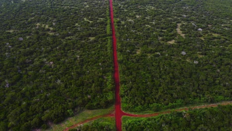 The-drone's-camera-pans-over-the-winding-red-dirt-road,-taking-in-the-lush-greenery-and-picturesque-vistas-of-the-tropical-low-vegetation-as-it-moves-along-during-a-cloudy-day