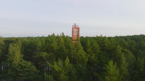 Aerial-view-of-Bernati-lighthouse-surrounded-by-lush-green-pine-tree-forest-with-light-snow,-Nordic-woodland,-Baltic-sea-coast,-sunny-winter-day,-Latvia,-wide-drone-shot-moving-forward-over-tree-tops