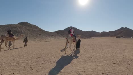 Hurgada,-Egypt-29-December-2022:-the-Camels-in-Sahara-Desert,-Egypt,-traditional-Dressed-Bedouins-Riding-Tourists-on-Camels-Through-Sandy-Desert