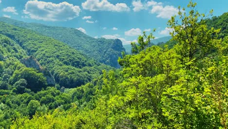 beautiful-view-of-top-of-the-mountain-in-green-forest