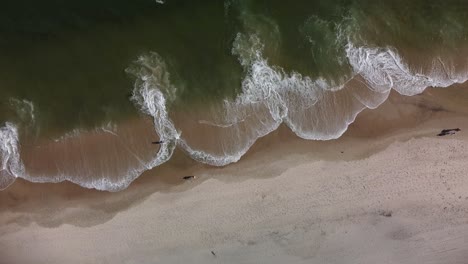 Aerial-View-of-East-Hampton-Main-Beach-Long-Island-New-York