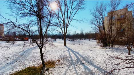 TimeLapse--IN-SNOWY-park-AT--sunny--day