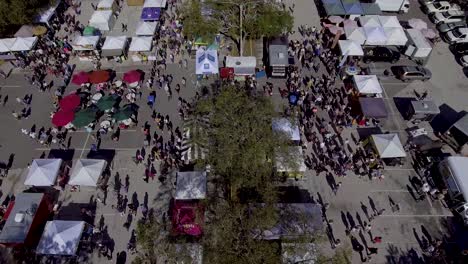 4K-Aerial-Drone-Video-of-Farmers-Market-in-Downtown-St