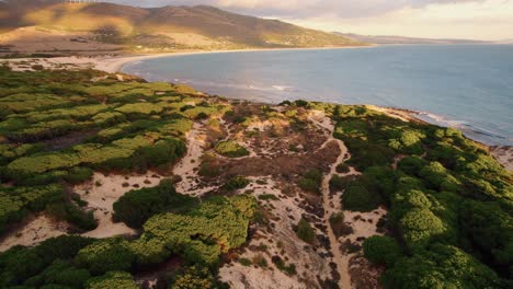 Aerial-view-of-the-rocky-Tarifa-coastline-filled-with-vegetation-in-Spain