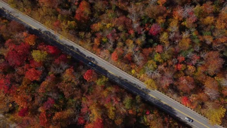 Luftaufnahme-Des-Herbstlaubs-Des-White-Mountain-National-Forest-New-Hampshire