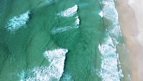 Aerial-drone-scene-of-ocean-waves-on-paradisiacal-beach-with-turquoise-blue-ocean-and-emerald-green-summer-Florianópolis-Praia-do-Santinho