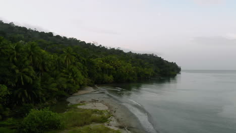 Aerial-view-of-tropical-forest-on-Gorgona-island