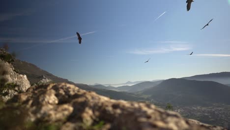 Zeitlupenaufnahmen-Von-Geiern-Oder-Kondoren,-Die-Im-Kreis-Um-Einen-Berghang-In-Navarra-Fliegen