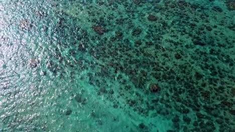 Tropisches-Korallenriff-In-Kauai,-Hawaii,-Usa