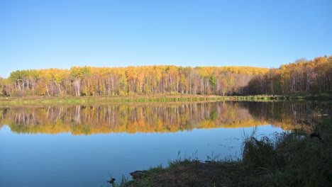 Herbstfarbe-Bäume-Reflektieren-Teich