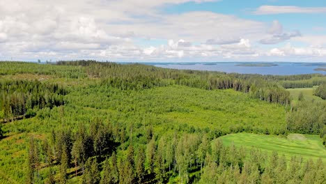Aerial-view-of-forest-with-a-lake-and-islands-in-the-background-on-a-sunny-summer-day