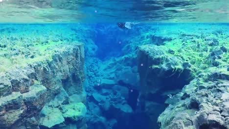 Diving-in-glacier-water-in-Silfra,-Iceland-with-reefs-below