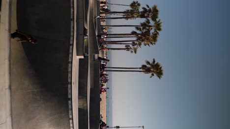 Vertical-4k-panning-video-in-a-skate-park-in-Venice-beach-in-Los-Angeles,-a-lot-young-people-skateboarding,-sunny-day-with-blue-sky,-and-palm-trees-and-beach-in-the-background
