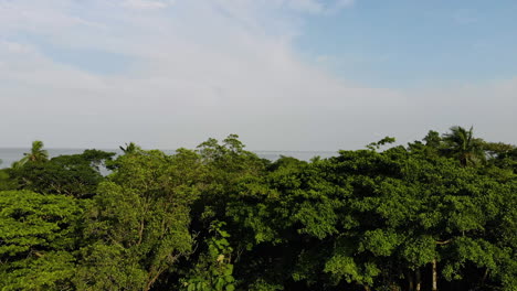 Aerial-view-of-forest-and-ocean-on-Gorgona-island
