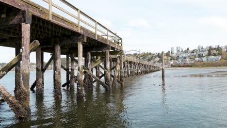 White-Rock-Pier-In-Spring-With-Pigeons