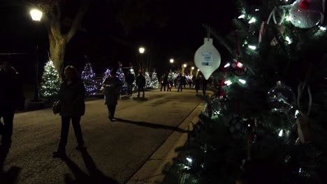 Grupo-De-Personas-Caminando-Por-Un-Carril-Por-La-Noche-Decorado-Con-árboles-De-Navidad-Festivos