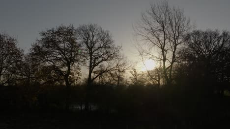 Sun-Trough-Trees-Early-Morning-Pond-Warwickshire-Autumn-Winter-Season-Aerial-Countryside