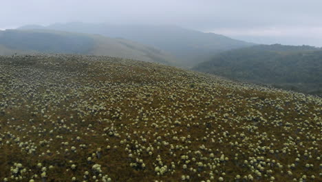 Aerial-view-of-frailejones-valley-in-a-cloudy-day---Colombia