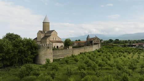 Vineyard-of-a-local-Georgian-monastery,-perfect-attraction-for-enotourism