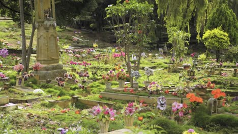 Alter-Friedhof,-Blumen-über-Friedhof-Blumen-über-Friedhöfen-Natürlicher-Friedhof-Südamerika-Friedhof-Schöner-Ort